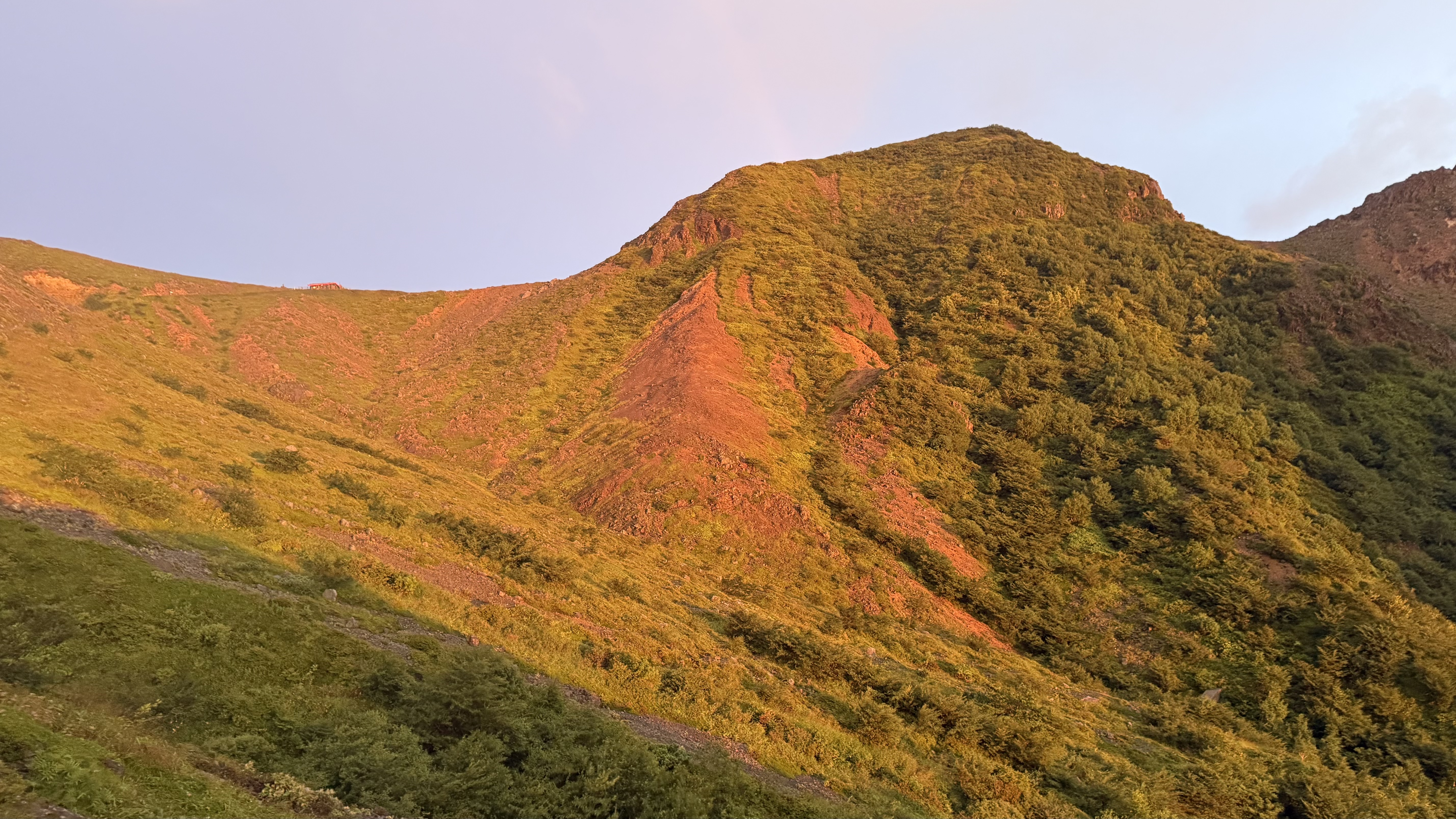 採集場所の山